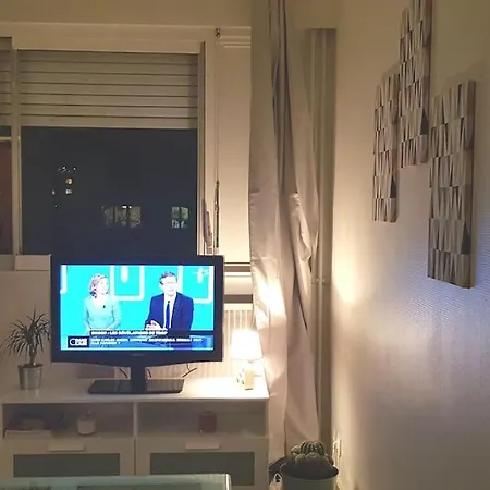 Parking Prive,t1 Bis, 10mn Lyon Centre Appartement